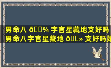 男命八 🌾 字官星藏地支好吗（男命八字官星藏地 🌻 支好吗婚姻如何）